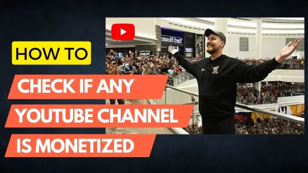 Check if a Youtube Channel is monetized